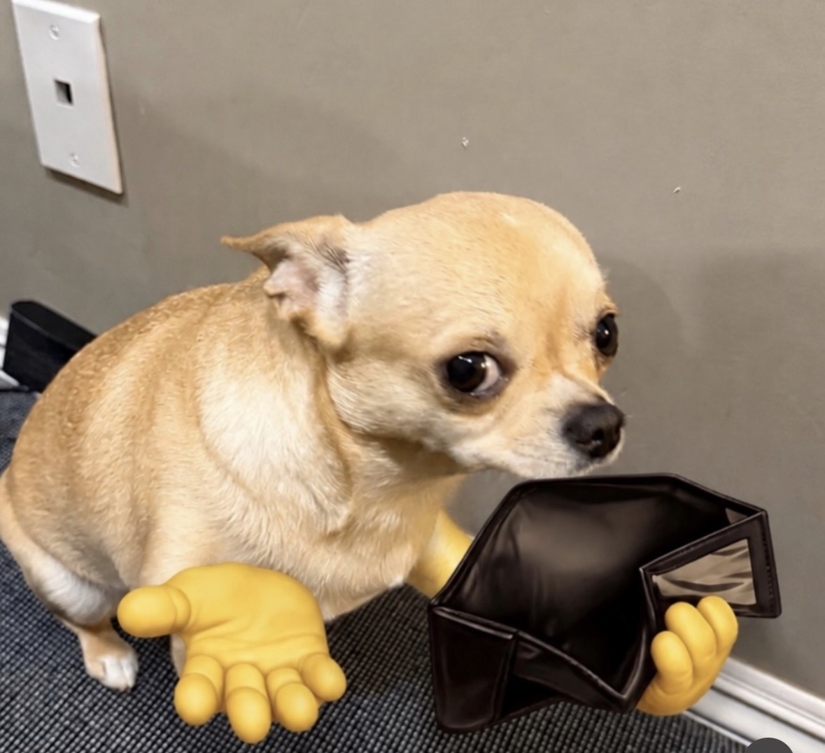 A sad dog holding out an empty wallet
